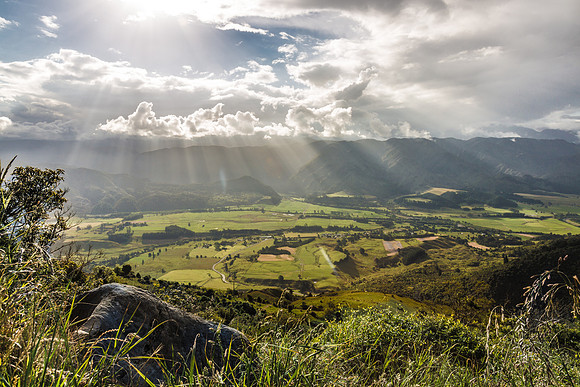 New Zealand