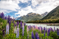 Milford sound