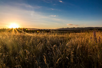 New Zealand