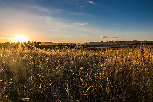 New Zealand