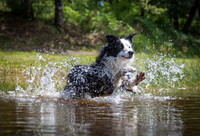 Lander running on water